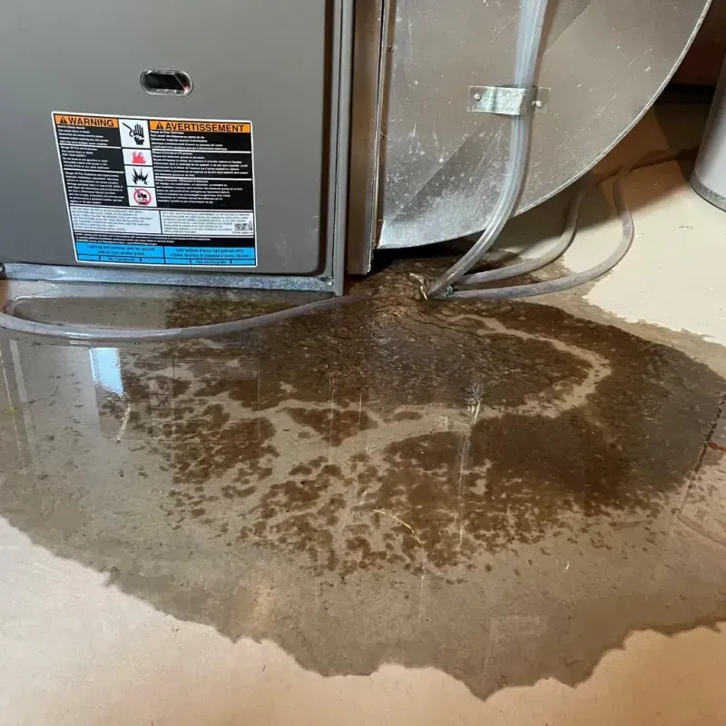 Appliance Leak Cleanup in Wolfhurst, OH